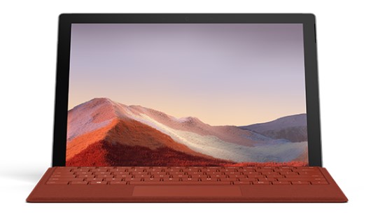 临潭清洁和维护 Surface